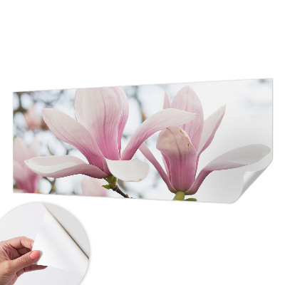 Motivtapete nach Maß Magnolienblüten