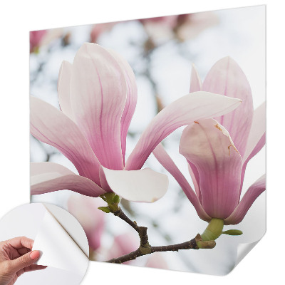 Motivtapete nach Maß Magnolienblüten