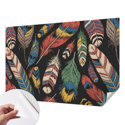 3D-Fototapete fürs Schlafzimmer Bunte Federn