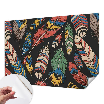 3D-Fototapete fürs Schlafzimmer Bunte Federn