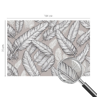 3D-Fototapete fürs Wohnzimmer Feine Federn