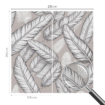 3D-Fototapete fürs Wohnzimmer Feine Federn