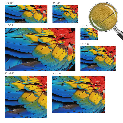 3D-Fototapete fürs Wohnzimmer Regenbogenfedern