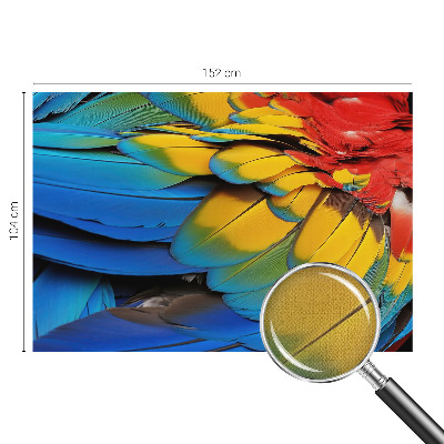 3D-Fototapete fürs Wohnzimmer Regenbogenfedern