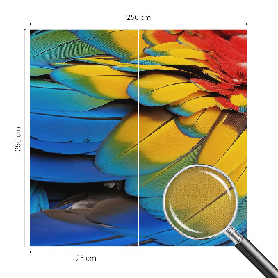 3D-Fototapete fürs Wohnzimmer Regenbogenfedern