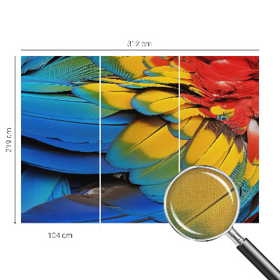 3D-Fototapete fürs Wohnzimmer Regenbogenfedern