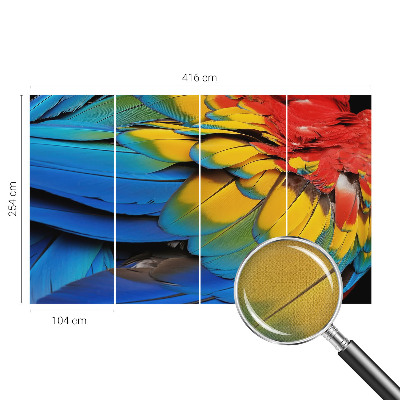 3D-Fototapete fürs Wohnzimmer Regenbogenfedern