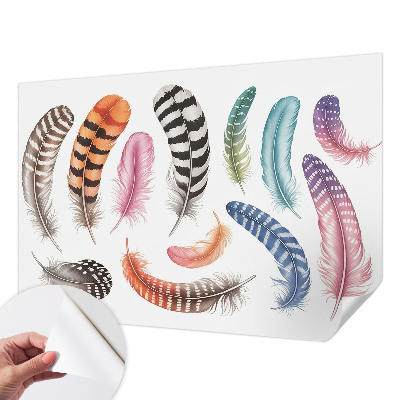 Motivtapete fürs Wohnzimmer Pastellfarbene Federn