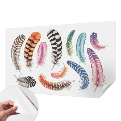 Motivtapete fürs Wohnzimmer Pastellfarbene Federn