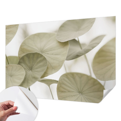 Selbstklebende Fototapete für die Wand Natürliche Eleganz