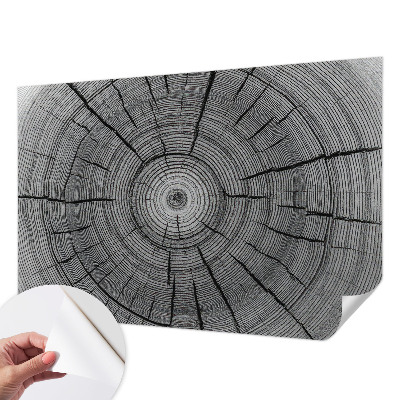 Selbstklebende Fototapete Harmonie des Waldes