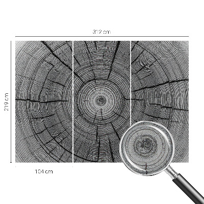 Selbstklebende Fototapete Harmonie des Waldes