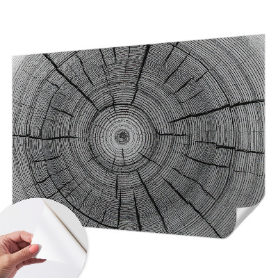 Selbstklebende Fototapete Harmonie des Waldes