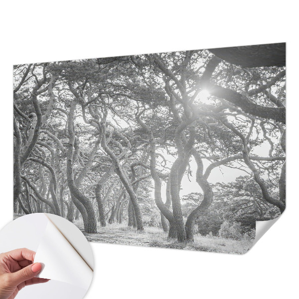 Vintage tapete Atmosphärischer Wald