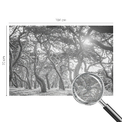 Vintage tapete Atmosphärischer Wald