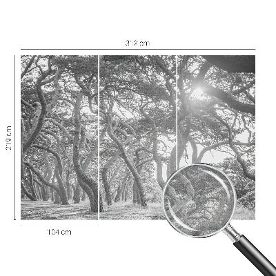 Vintage tapete Atmosphärischer Wald