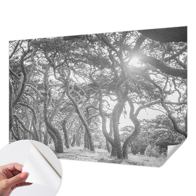 Vintage tapete Atmosphärischer Wald