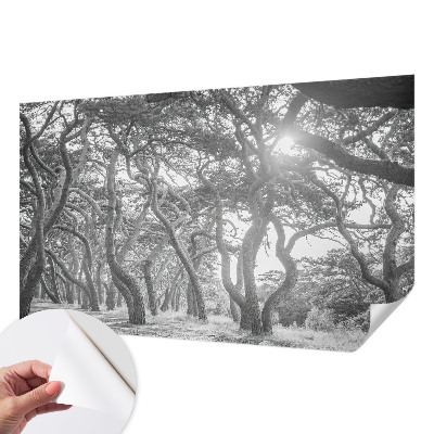 Vintage tapete Atmosphärischer Wald