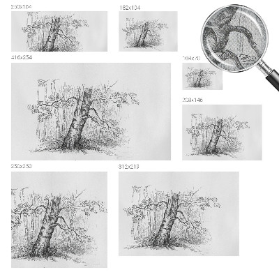 Fototapete in 3D-Optik Waldbaum