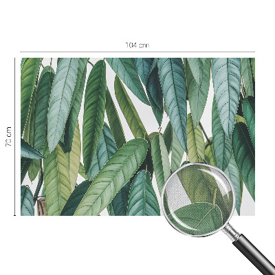 3D-Fototapete fürs Wohnzimmer Natürliche Blätter