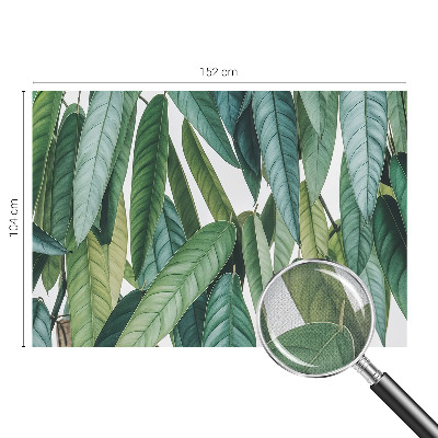 3D-Fototapete fürs Wohnzimmer Natürliche Blätter