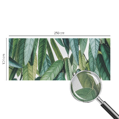 3D-Fototapete fürs Wohnzimmer Natürliche Blätter