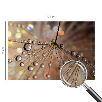 3D-Fototapete fürs Wohnzimmer Perlentropfen