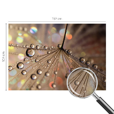 3D-Fototapete fürs Wohnzimmer Perlentropfen