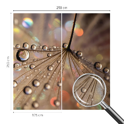 3D-Fototapete fürs Wohnzimmer Perlentropfen