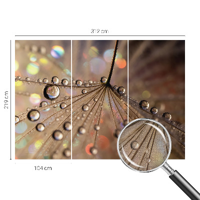 3D-Fototapete fürs Wohnzimmer Perlentropfen