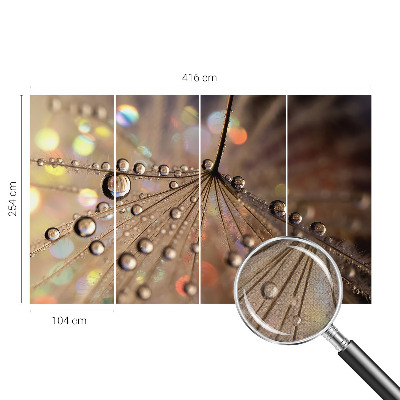 3D-Fototapete fürs Wohnzimmer Perlentropfen