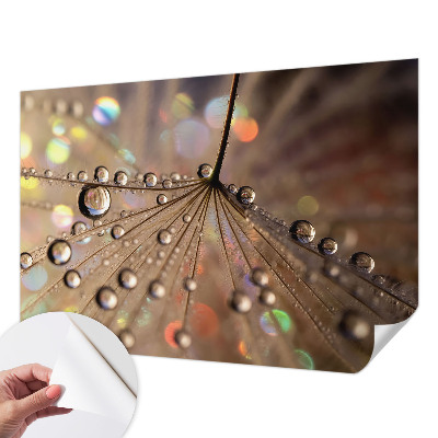 3D-Fototapete fürs Wohnzimmer Perlentropfen