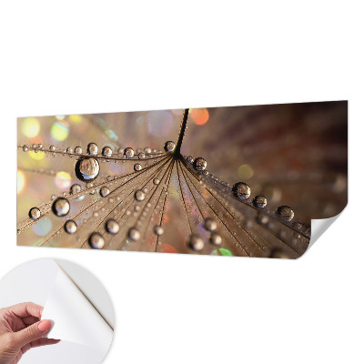 3D-Fototapete fürs Wohnzimmer Perlentropfen