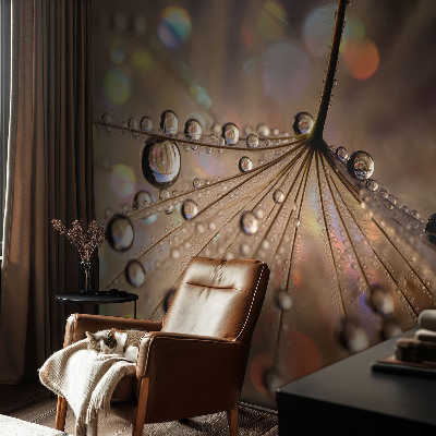 3D-Fototapete fürs Wohnzimmer Perlentropfen