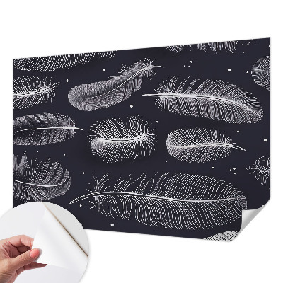 Selbstklebende Fototapete fürs Wohnzimmer Feine Federn