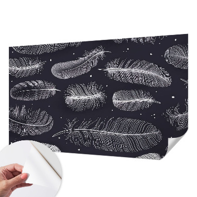 Selbstklebende Fototapete fürs Wohnzimmer Feine Federn