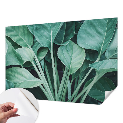 3D-Fototapete fürs Wohnzimmer Grüne Natur