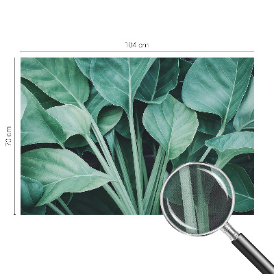 3D-Fototapete fürs Wohnzimmer Grüne Natur