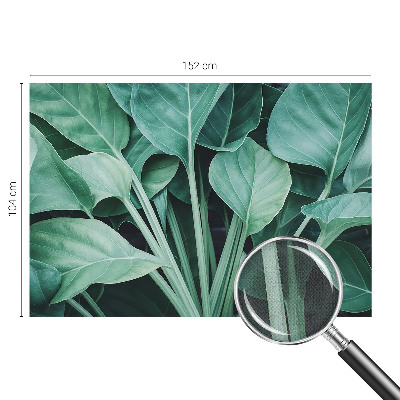 3D-Fototapete fürs Wohnzimmer Grüne Natur