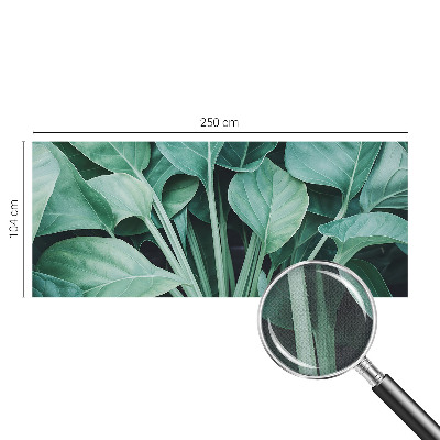 3D-Fototapete fürs Wohnzimmer Grüne Natur