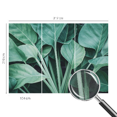 3D-Fototapete fürs Wohnzimmer Grüne Natur