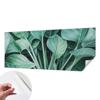 3D-Fototapete fürs Wohnzimmer Grüne Natur