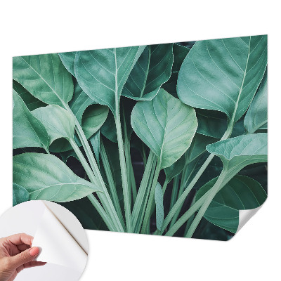 3D-Fototapete fürs Wohnzimmer Grüne Natur