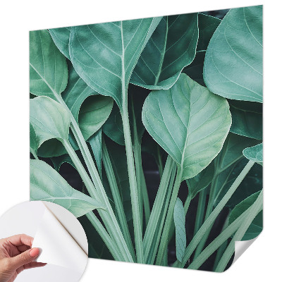 3D-Fototapete fürs Wohnzimmer Grüne Natur