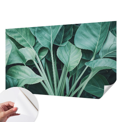 3D-Fototapete fürs Wohnzimmer Grüne Natur