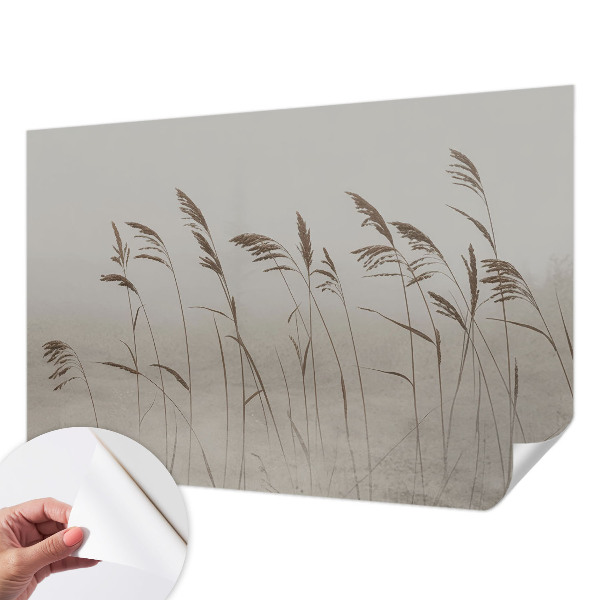 Moderne Fototapete nach Maß Gräser im Nebel