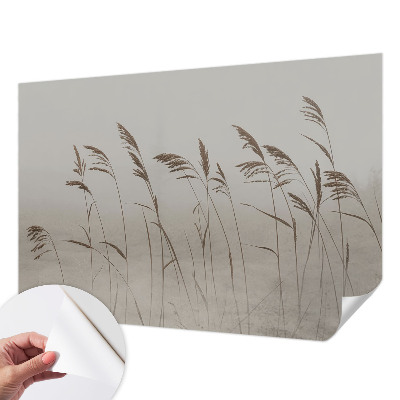 Moderne Fototapete nach Maß Gräser im Nebel