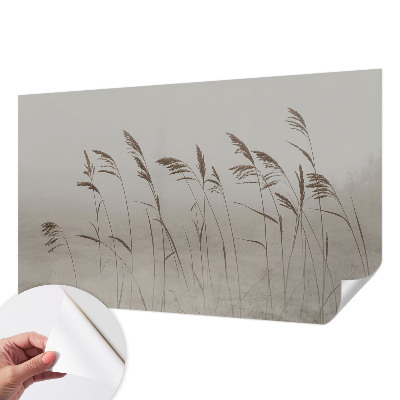 Moderne Fototapete nach Maß Gräser im Nebel