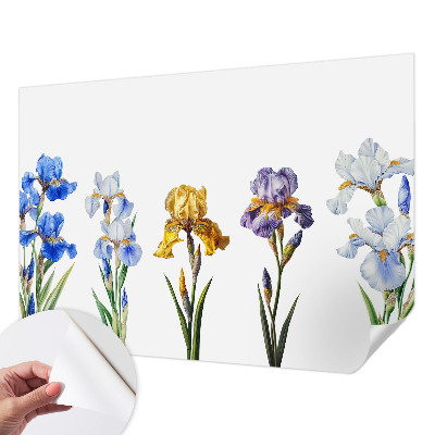 3D-Fototapete Irisblüten