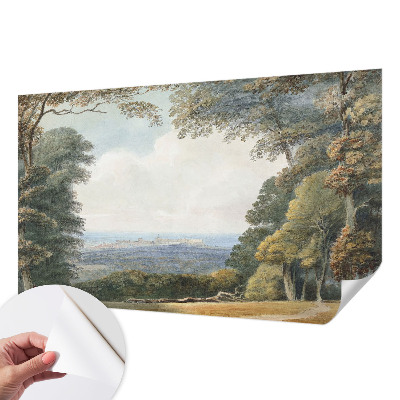 Hochwertige Bildtapete Bewaldete Landschaft